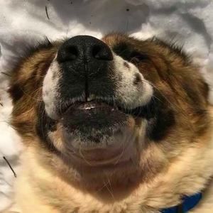 Meet your Posher, Terry